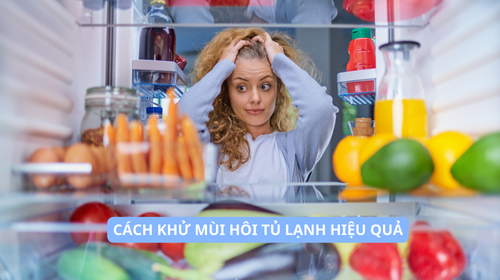 Cách loại bỏ mùi hôi trong tủ tạnh hiệu quả nhất