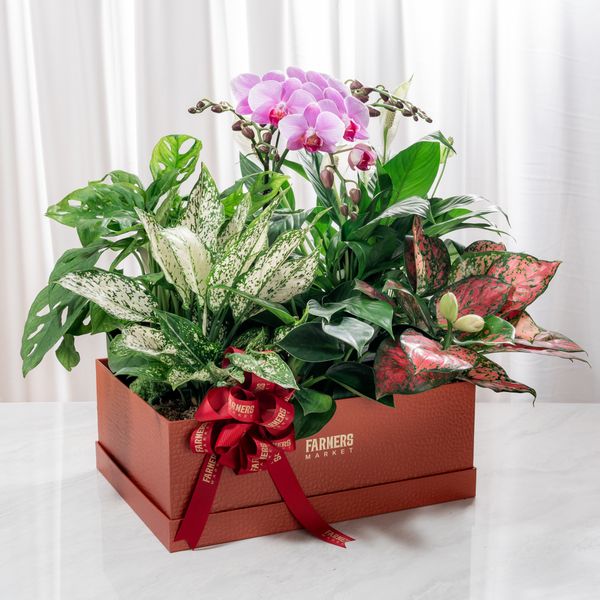 Quà tặng sếp nam/nữ sang trọng, tinh tế – không lo mất điểm