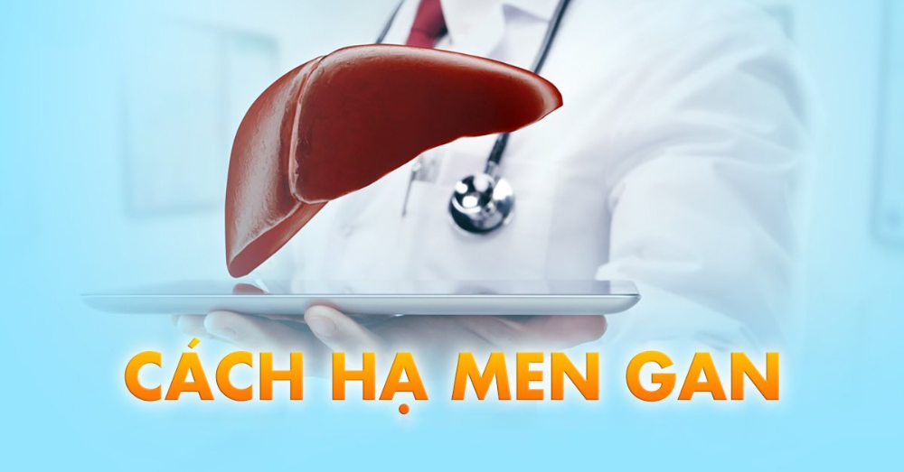 Men gan cao có bị viêm gan B không? Cách giảm men gan để bảo vệ sức khỏe