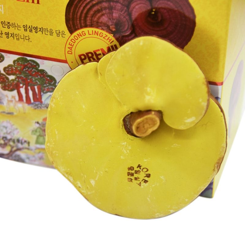Nấm Linh Chi Đỏ Daedong Lingzhi Mushroom Premium Hàn Quốc