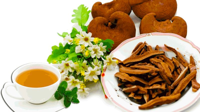 Trẻ em có uống được nấm linh chi không và có tác dụng gì?