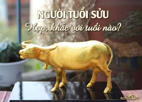 Người tuổi Sửu hợp, khắc với tuổi nào?