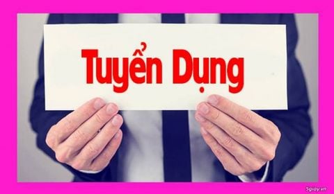 Royal Gift tuyển dụng nhân viên thiết kế đồ hoạ 2D 3D