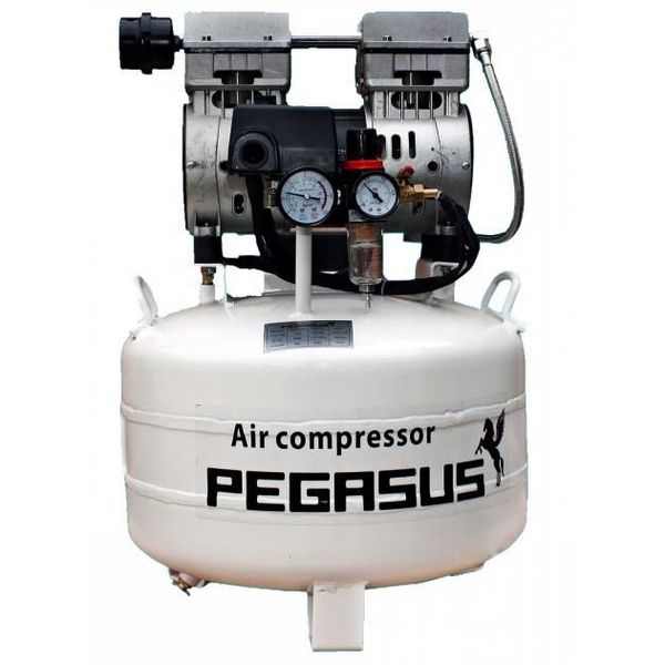 Máy nén khí không dầu Pegasus TM-OF750 (40L)