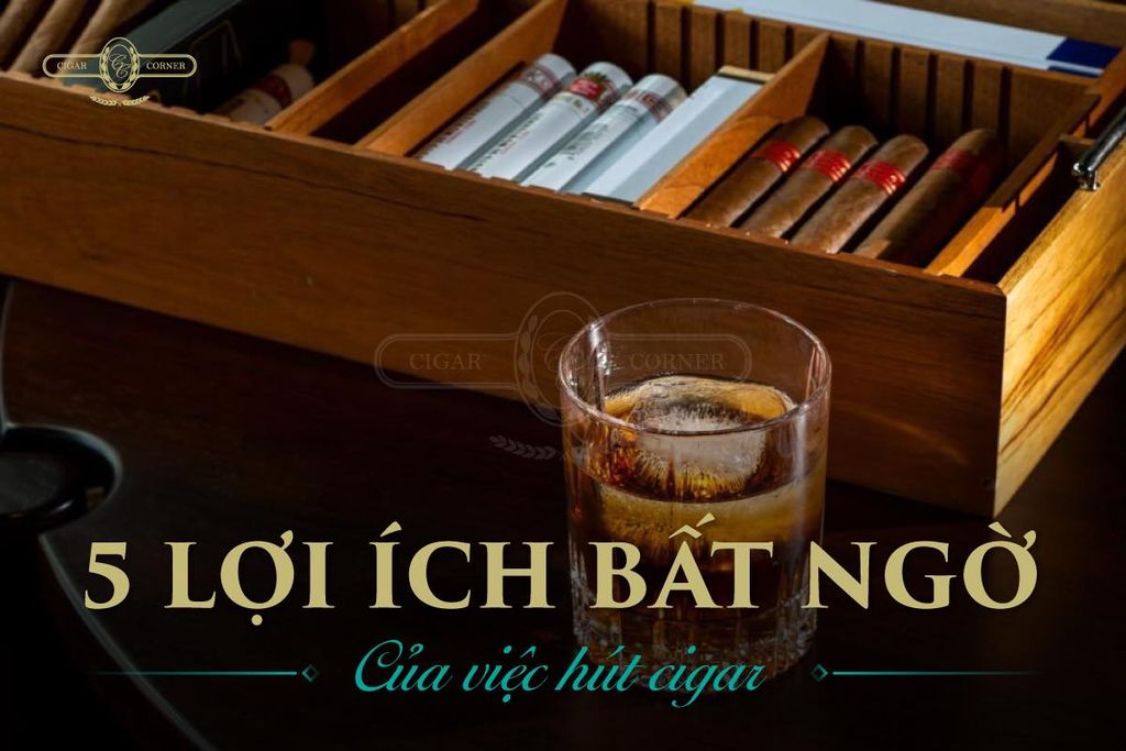 5 LỢI ÍCH BẤT NGỜ CỦA VIỆC HÚT CIGAR – Cigar Corner