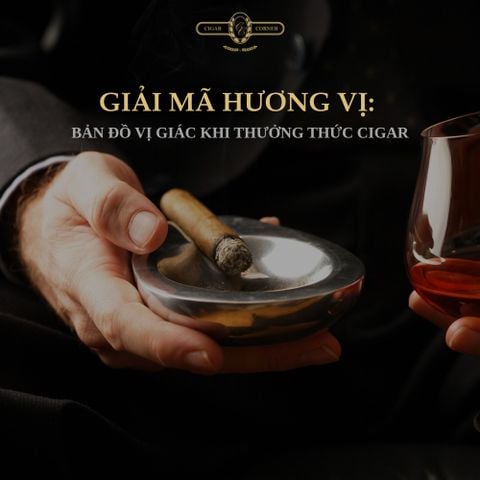 GIẢI MÃ HƯƠNG VỊ: BẢN ĐỒ VỊ GIÁC KHI THƯỞNG THỨC CIGAR