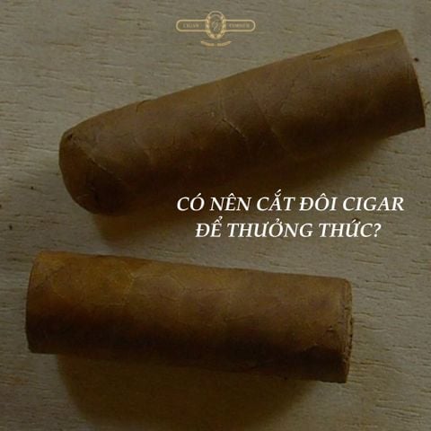 CÓ NÊN CẮT ĐÔI CIGAR ĐỂ THƯỞNG THỨC? NHỮNG ĐIỀU BẠN NÊN BIẾT