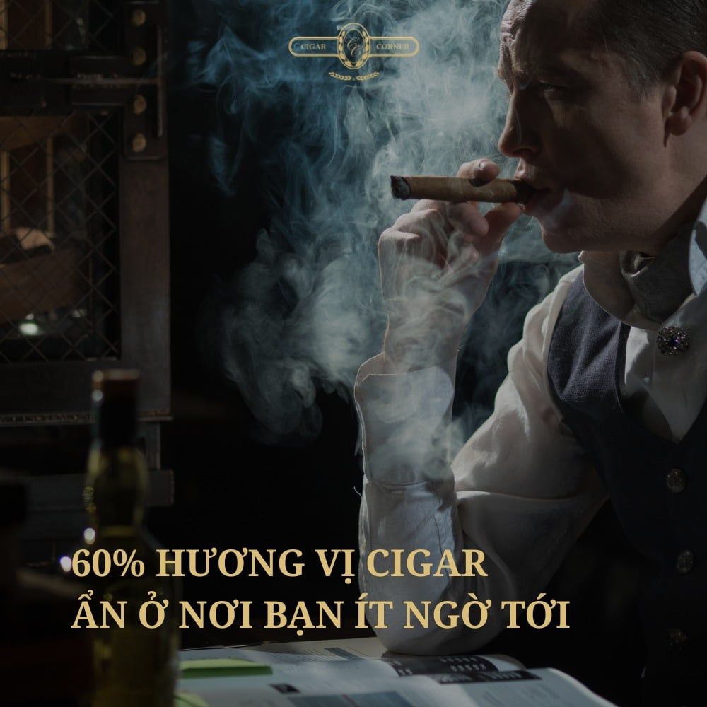 60% HƯƠNG VỊ CIGAR ẨN Ở NƠI BẠN ÍT NGỜ TỚI – Cigar Corner