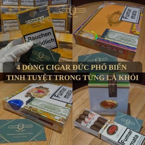 4 DÒNG CIGAR ĐỨC PHỔ BIẾN - TINH TUYỆT TRONG TỪNG LÁ KHÓI