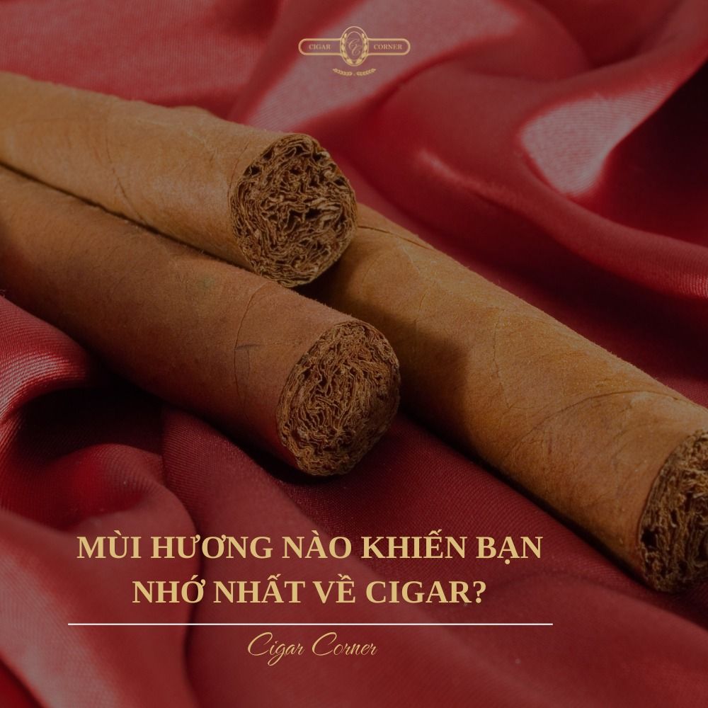 MÙI HƯƠNG NÀO KHIẾN BẠN NHỚ NHẤT VỀ CIGAR? – Cigar Corner
