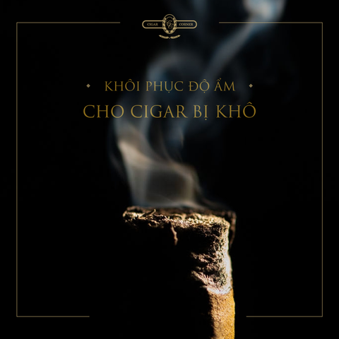 KHÔI PHỤC ĐỘ ẨM CHO CIGAR BỊ KHÔ