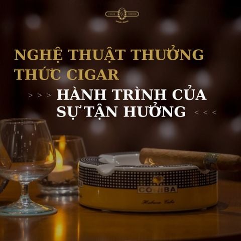 NGHỆ THUẬT THƯỞNG THỨC CIGAR: HÀNH TRÌNH CỦA SỰ TẬN HƯỞNG