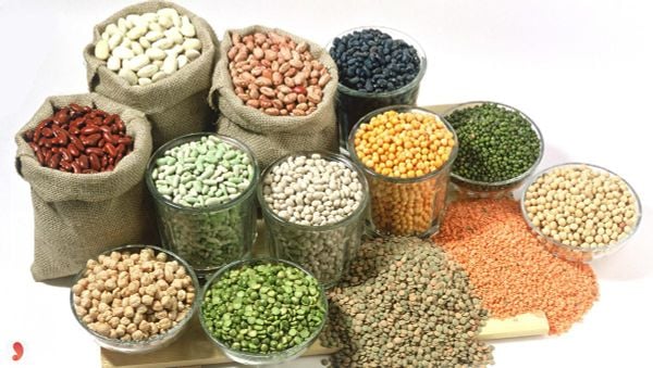 Bột ngũ cốc 12 loại hạt