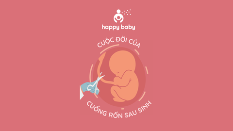 CUỘC ĐỜI CỦA CUỐNG RỐN SAU SINH