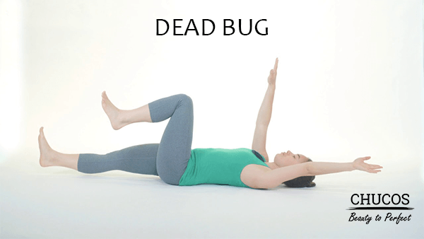 giam-mo-bung-dead-bug