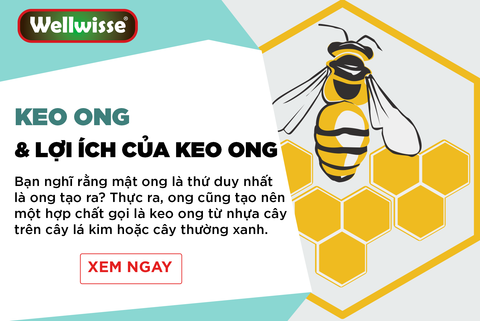 Keo ong và lợi ích của keo ong