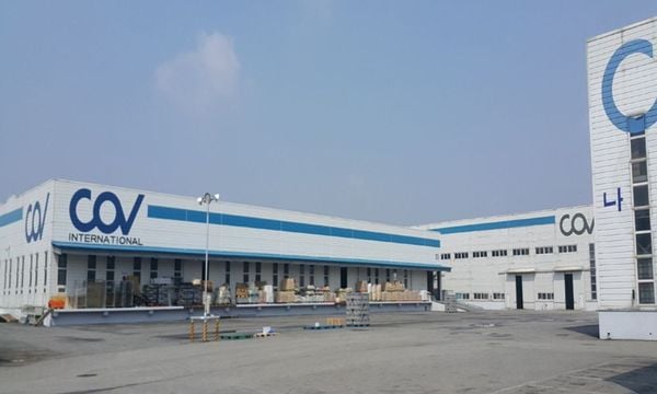 Nguồn gốc xuất xứ của thương hiệu COV và sự khác biệt của giày bảo hộ COV