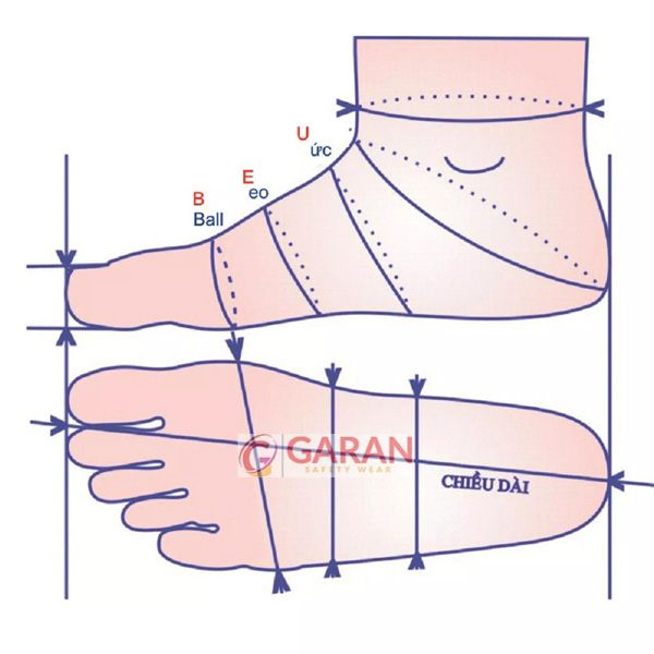 Cách đo size giày bảo hộ