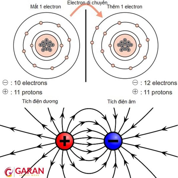 ESD là gì? Tìm hiểu các thông tin về ESD