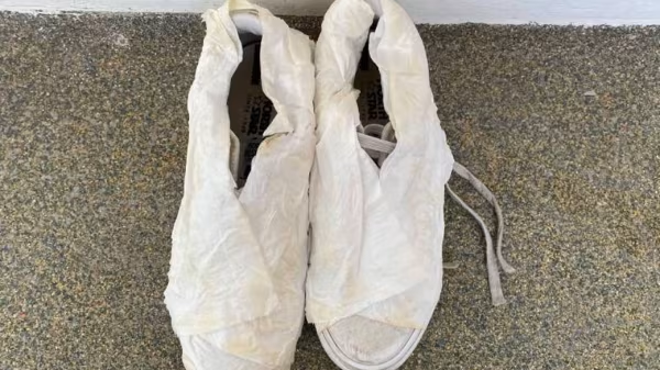 Làm khô giày bằng giấy