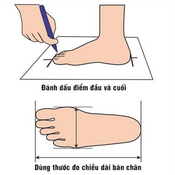 Đo chiều dài chân chính xác để chọn size giày bảo hộ phù hợp