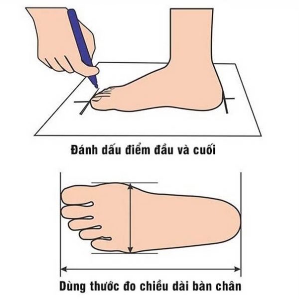 Các bước đo chiều dài chân