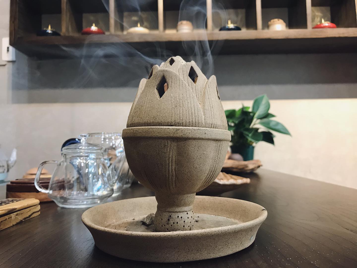 Camellia Rose/Hà Nội