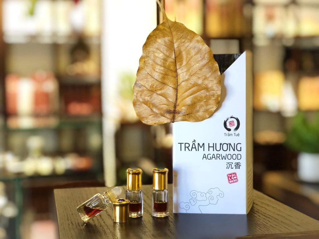 Tinh dầu Trầm hương - vua của các loại tinh dầu
