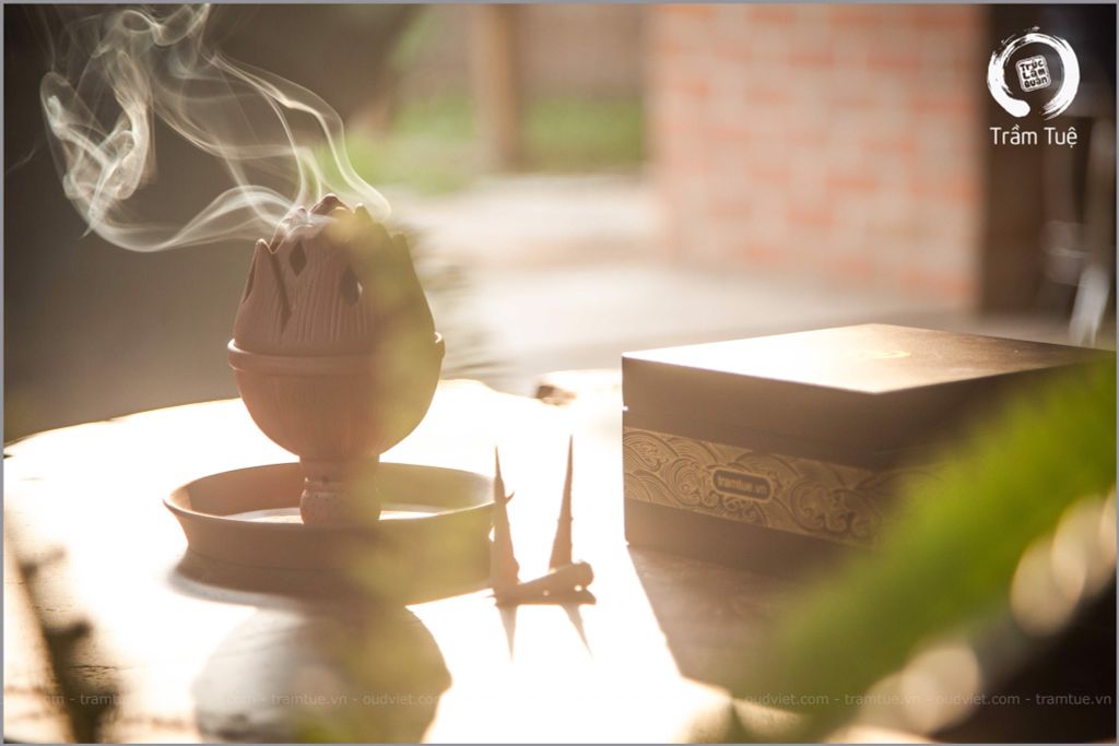 Nụ trầm hương có tác dụng gì? 7 công dụng tuyệt vời của trầm nụ trong cuộc sống