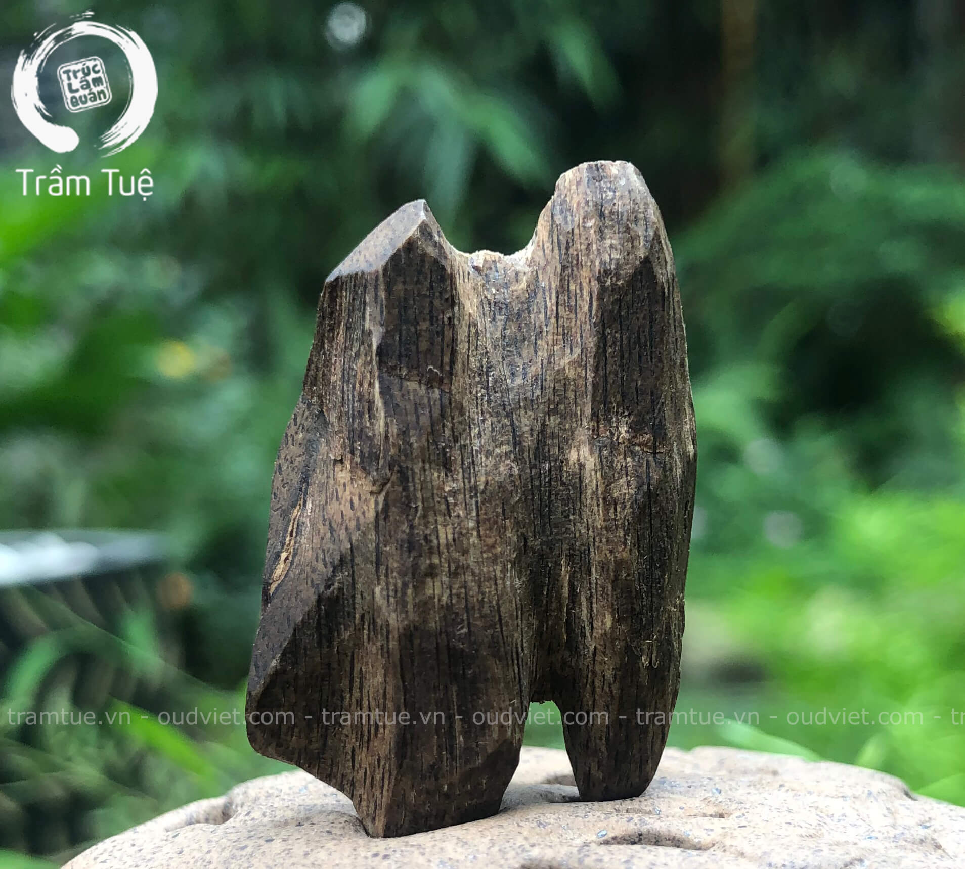 Trầm hương - sản vật gắn liền với lịch sử dân tộc Việt