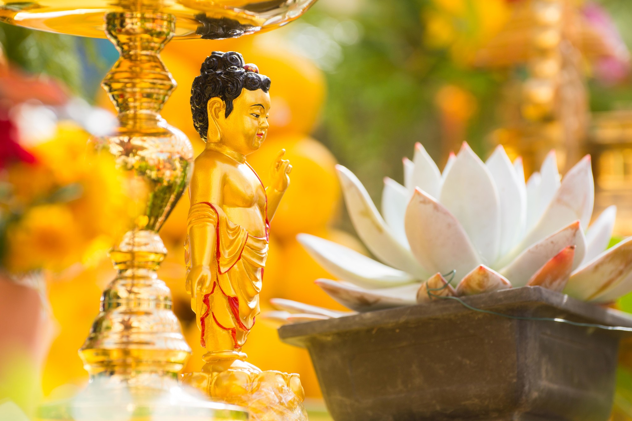 Mừng Phật đến với chúng sanh