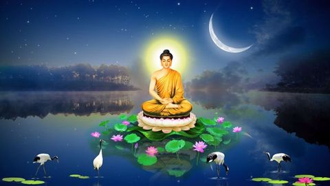 Seven meanings of Buddha's day