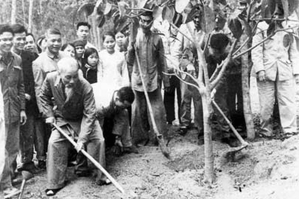 Truyền thống Tết trồng cây