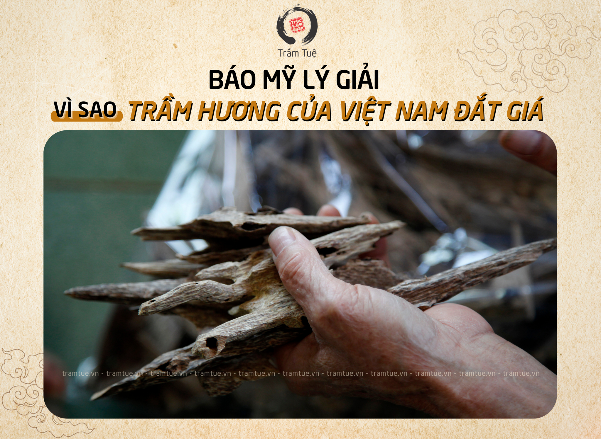 Báo Mỹ lý giải tại sao Trầm hương của Việt Nam đắt giá