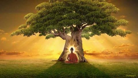 Lời dạy của Hòa thượng Thích Thanh Từ: Ngày Phật thành đạo hãy tự ngẫm tới mình