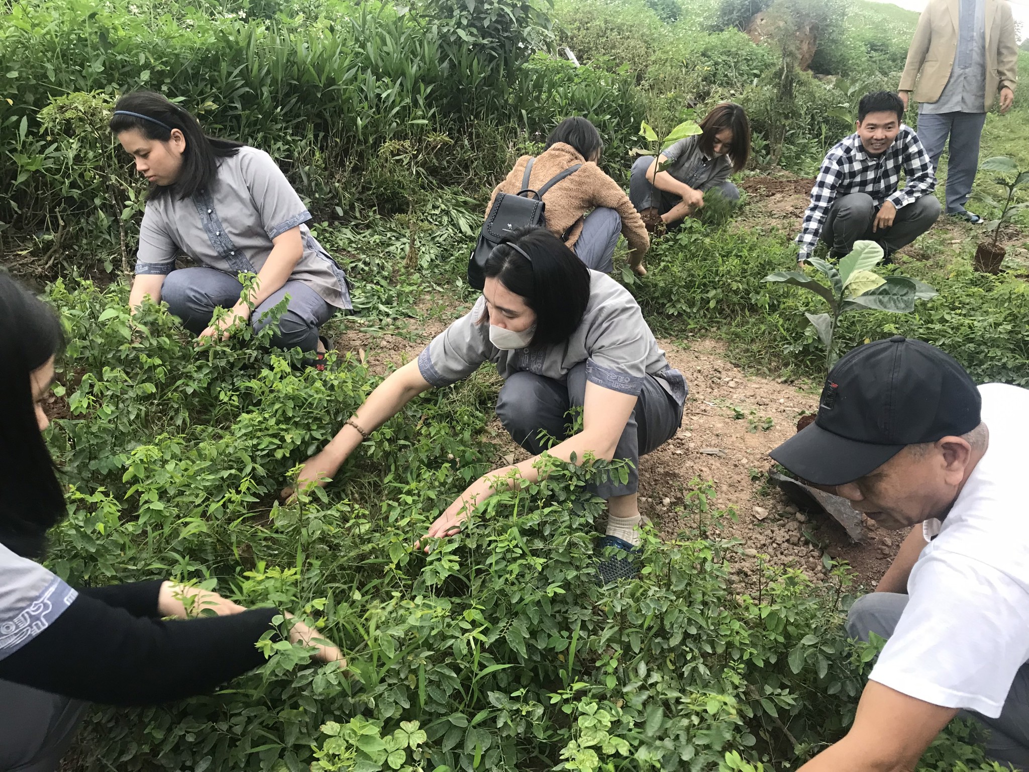 Mùa xuân là Tết trồng cây