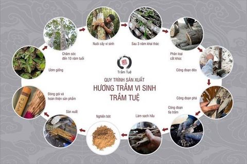 Production process of clean Agarwood incense