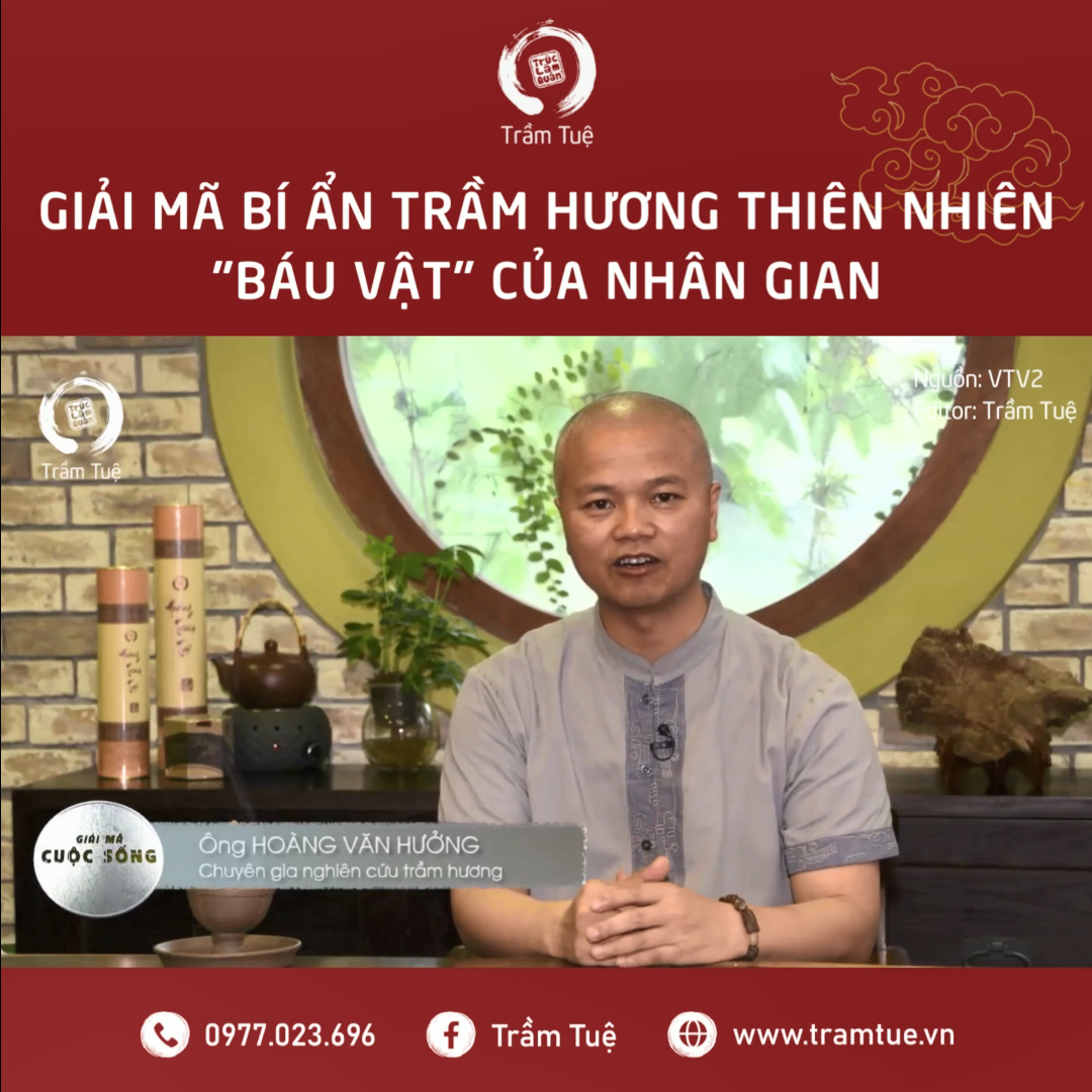 Giải mã bí ẩn Trầm hương - Báu vật của nhân gian