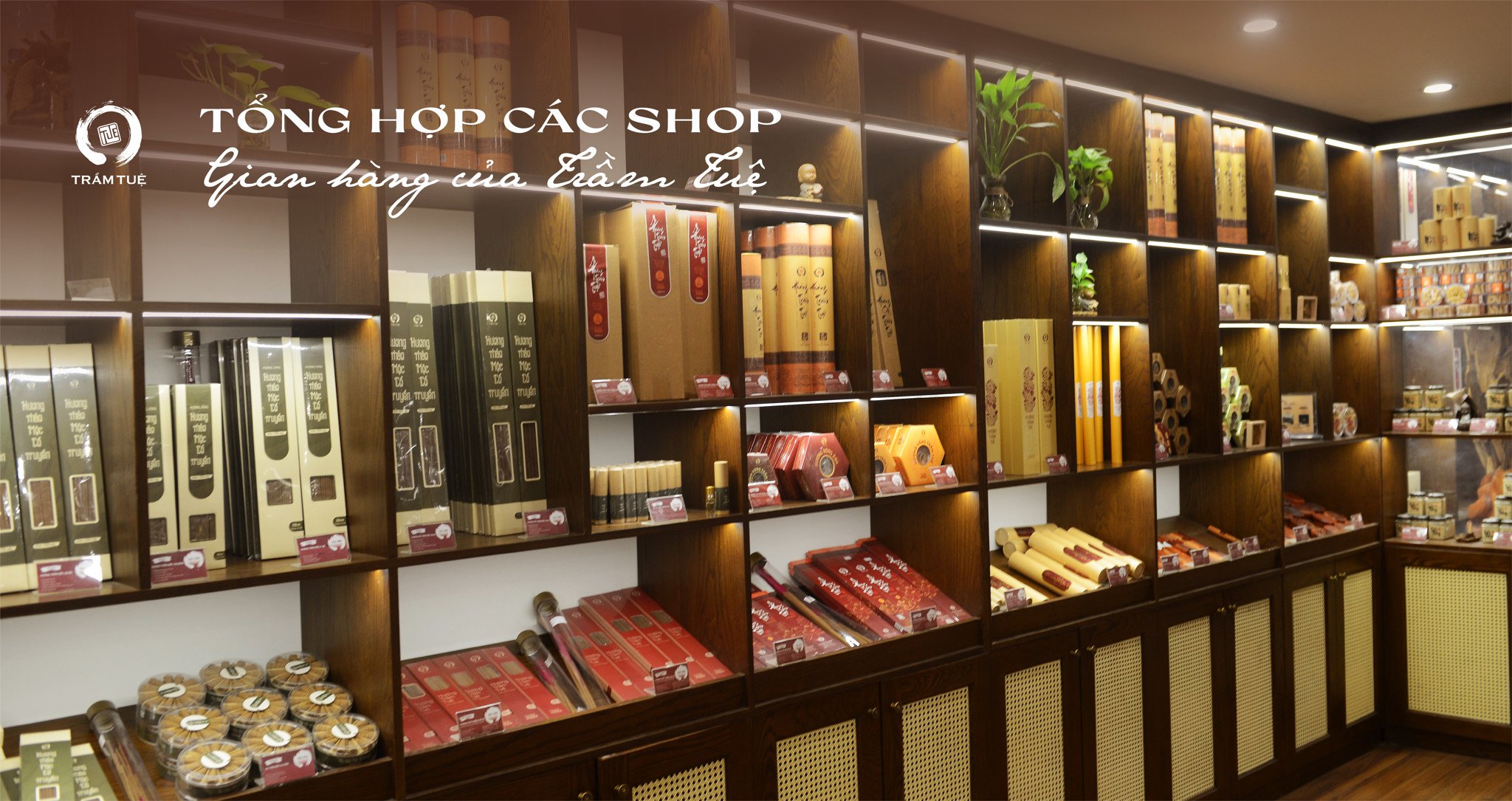 Tổng hợp các shop, đại lý của Trầm Tuệ trên toàn quốc