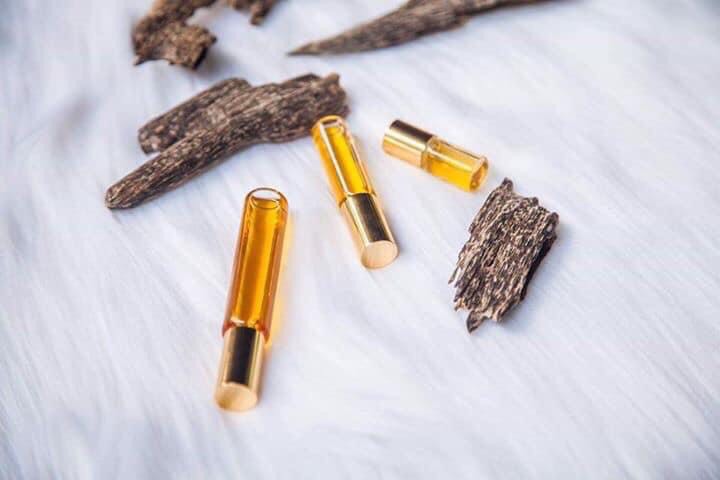 Trầm hương, vàng ròng nơi núi rừng