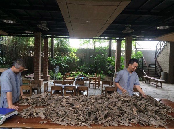 Differentation of natural agarwood and oild - cooked agarwood