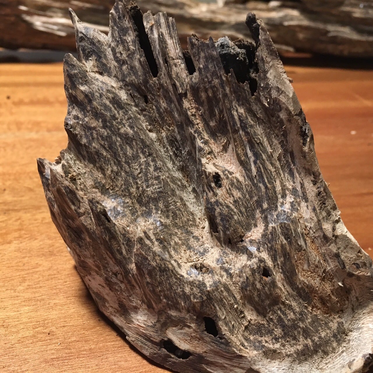 Phân biệt trầm hương tự nhiên và trầm hương nấu dầu