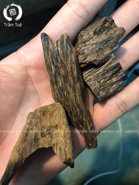 What is sink agarwood? Why is the water supply agarwood bracelet has a high value?