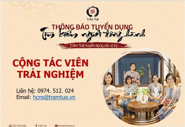 Cộng tác viên Trải nghiệm