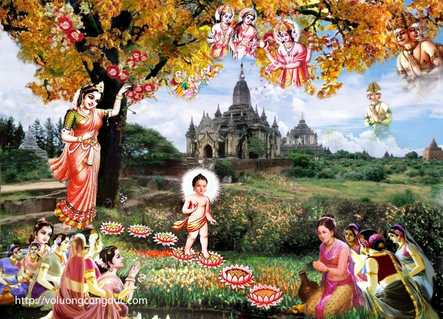 Ý nghĩa ngày Phật đản sinh