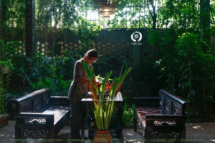 Trúc Lâm Quán Tuệ: Không gian tĩnh tâm giữa lòng Hà Nội