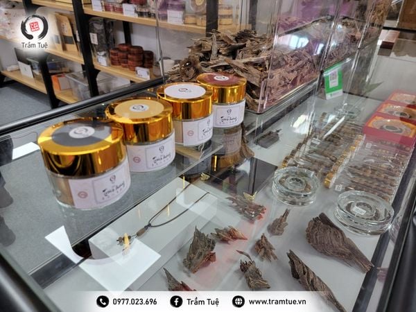 Trầm Tuệ tham gia Triển lãm Phật giáo Quốc tế tại Bắc Kinh - Trung Quốc 2023