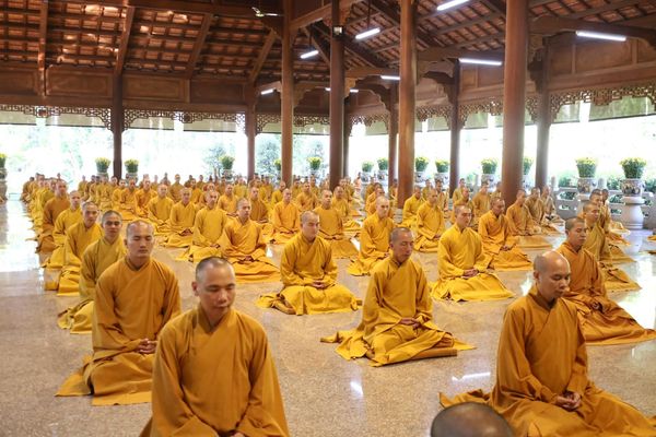 tọa thiền đầu xuân 2024 Giáp Thìn Thiền viện Thường Chiếu Đồng Nai Trầm Tuệ