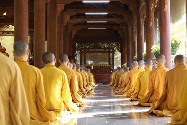 tọa thiền đầu xuân 2024 Giáp Thìn Thiền viện Thường Chiếu Đồng Nai Trầm Tuệ