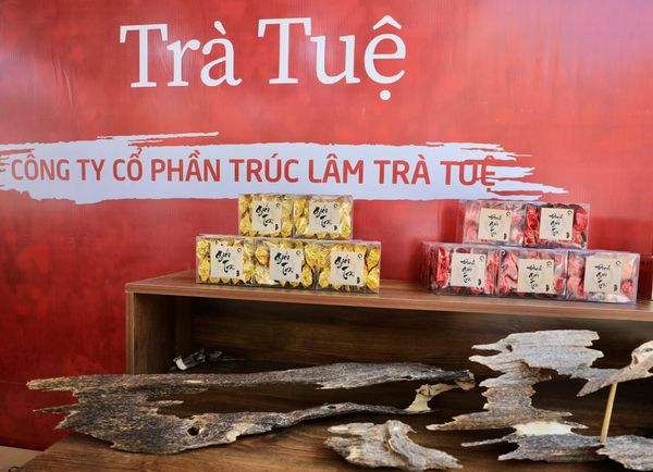 gian hàng Trầm Tuệ Tp.Buôn Mê Thuột lễ hội cà phê 2023 xao trà